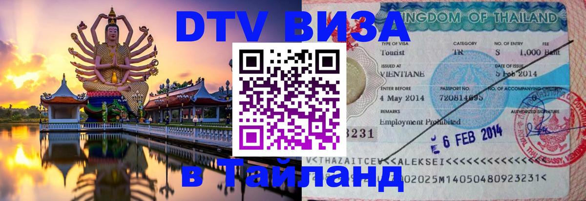Сколько стоит DTV виза — актуальные цены, оформление даже без документов - Сызрань 